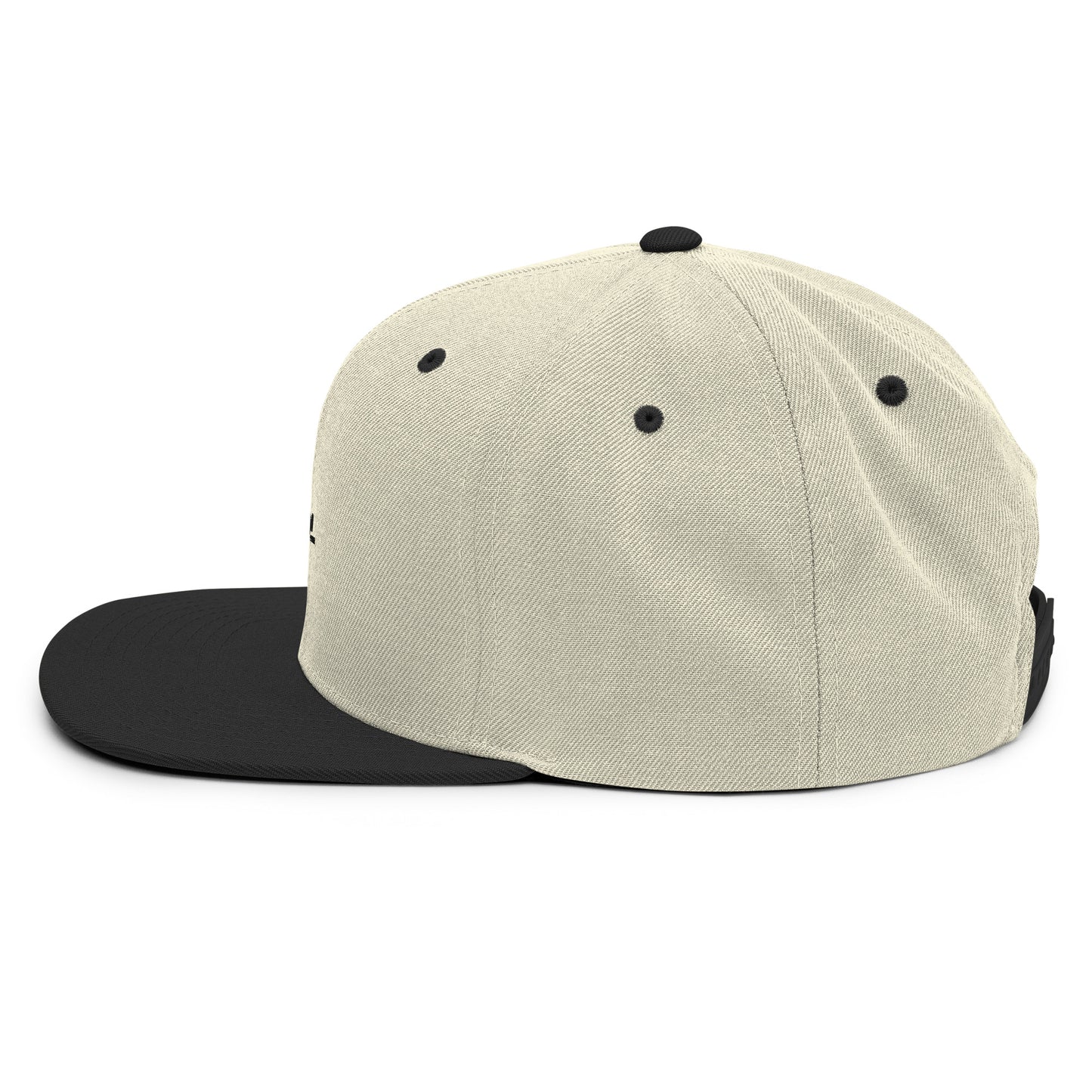 CapSol - black thread - Snapback hat