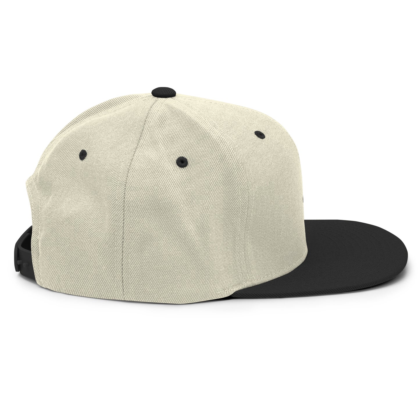 CapSol - black thread - Snapback hat
