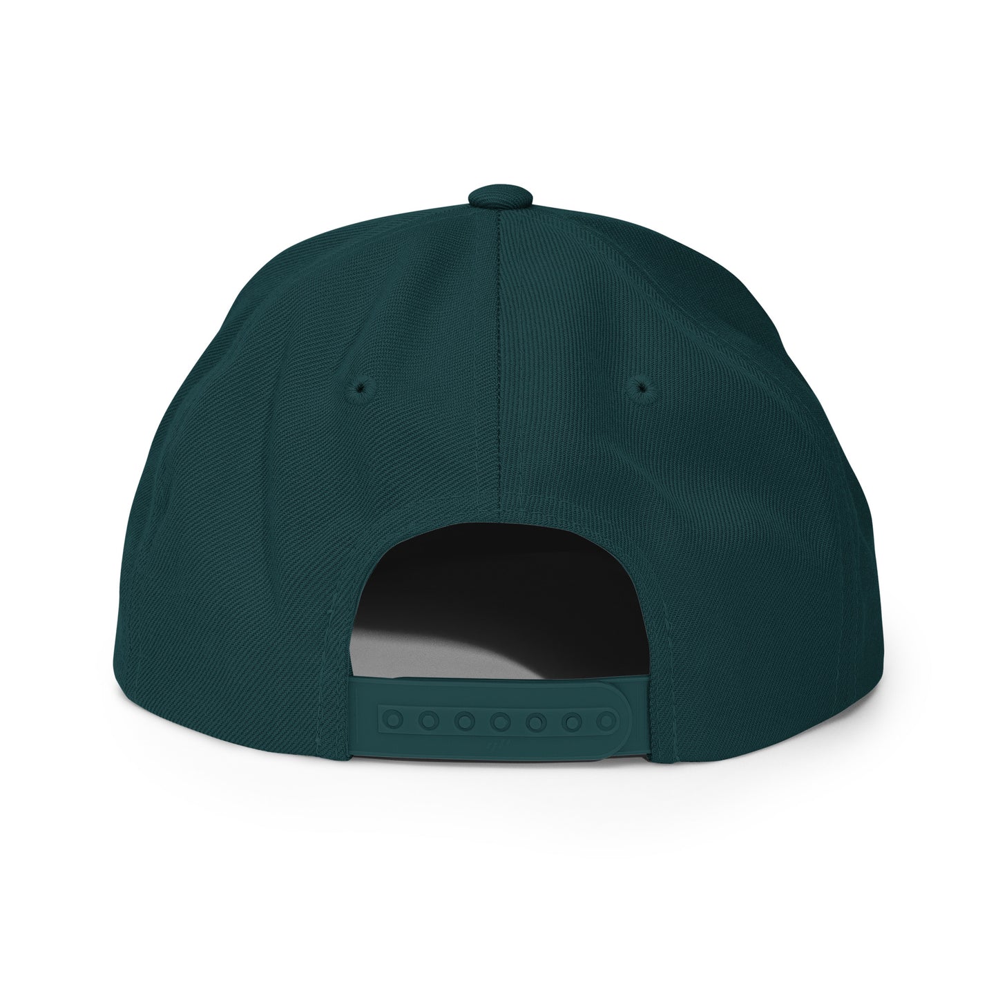 CapSol - black thread - Snapback hat