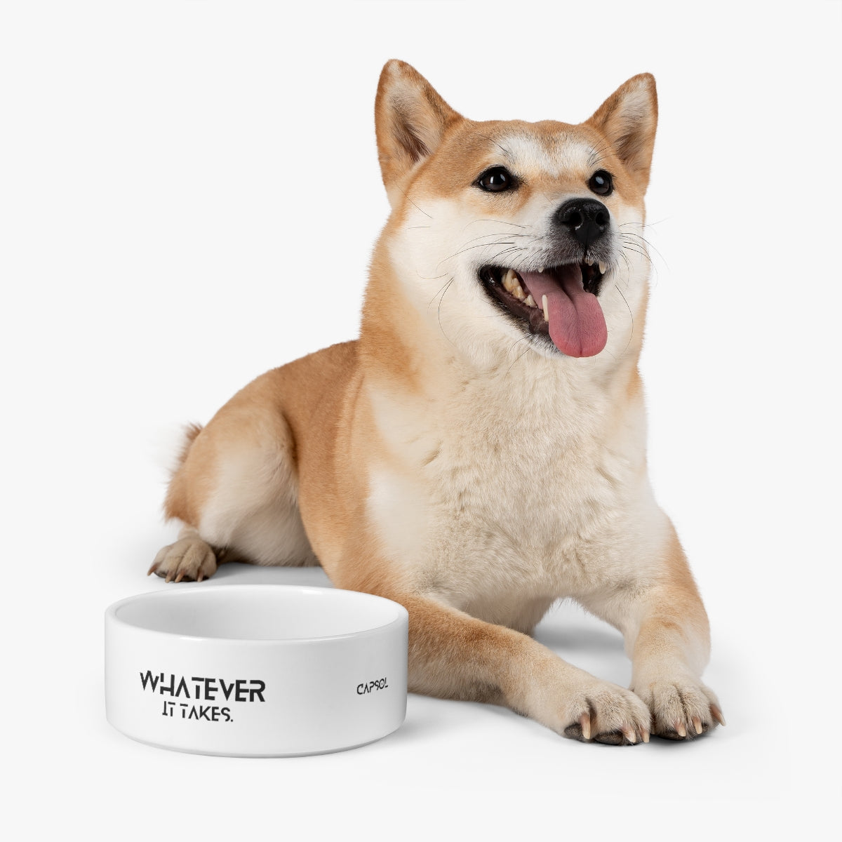 Pet Bowl - 16 oz