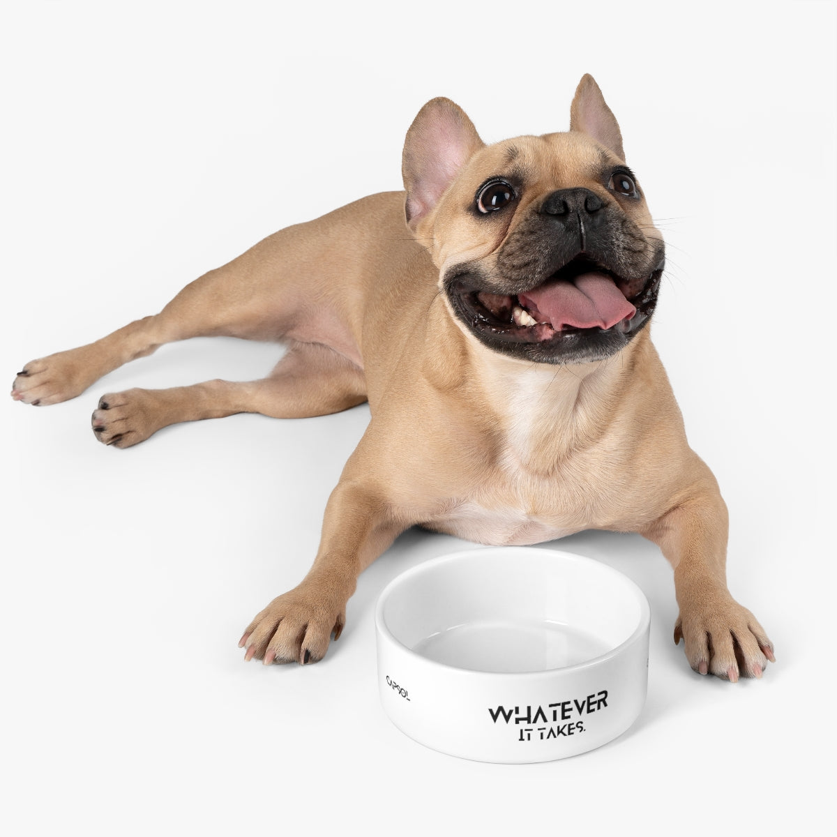 Pet Bowl - 16 oz