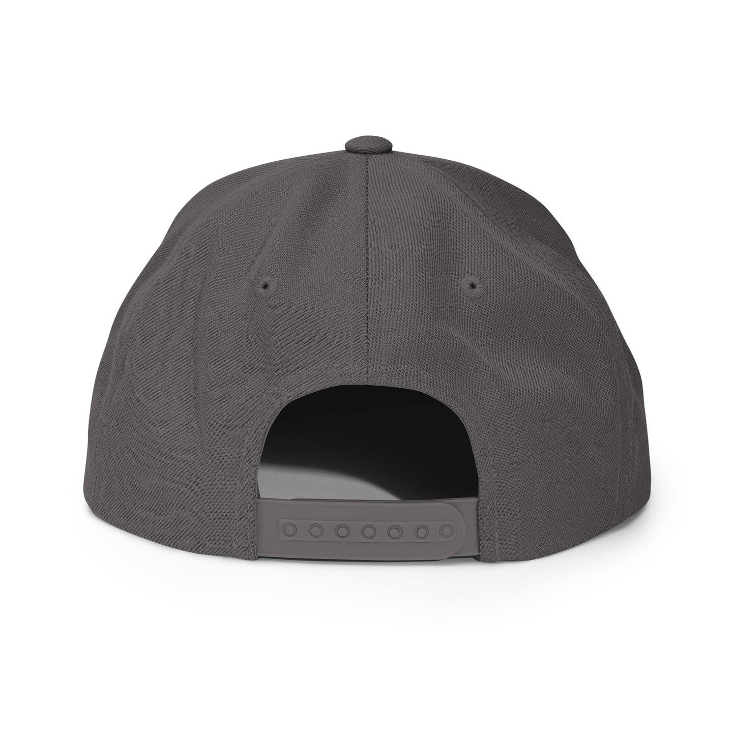 CapSol - white thread - Snapback Hat