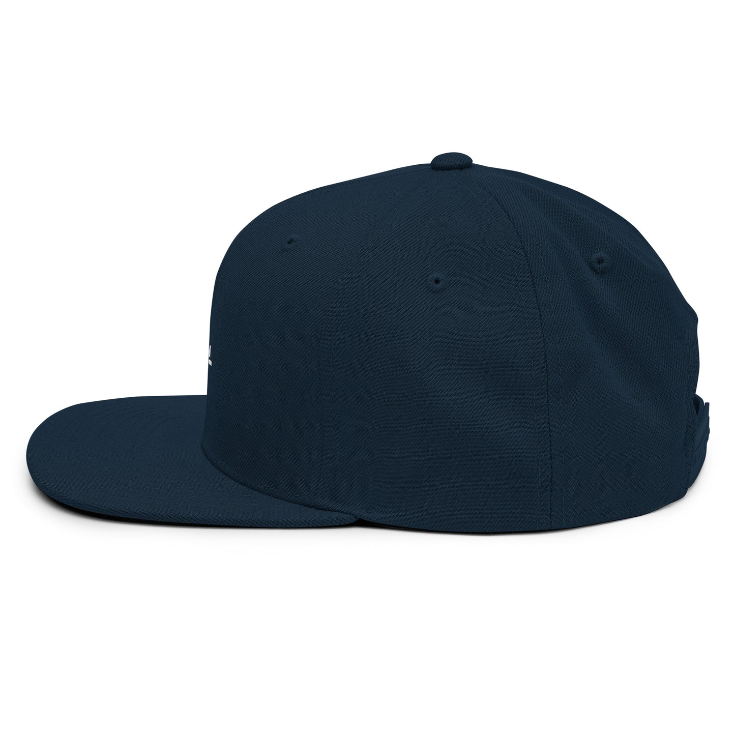 CapSol - white thread - Snapback Hat